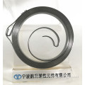 High Quality Constant Force Spring